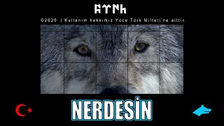 Sarı Saçlım Mavi Gözlüm (Nerdesin)