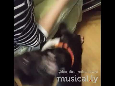 Atos video