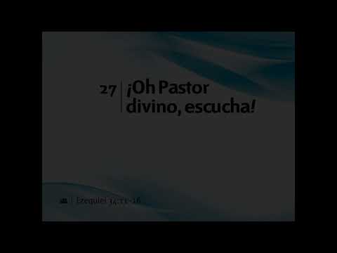 027    Oh Pastor divino, escucha