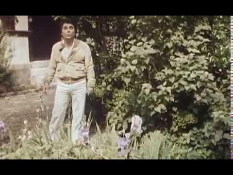 CLAUDE NOUGARO le coq et la pendule