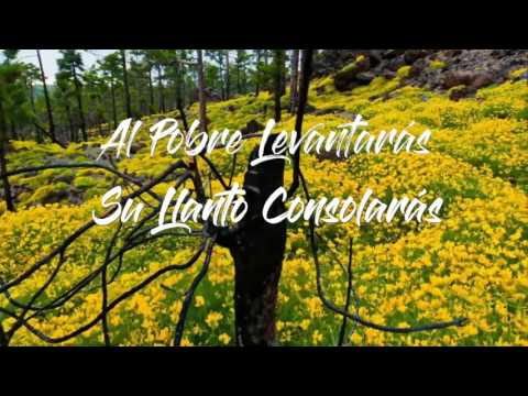 Que sea la Luz Letra - Hillsong en Español