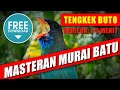 MASTERAN MURAI BATU Suara Tengkek Buto Untuk Menambah Variasi Materi Berjeda 1 3 Menit