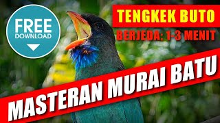 Download lagu MASTERAN MURAI BATU 🔴 suara tengkek buto untuk menambah variasi materi. Berjeda 1-3 menit mp3 Download lagu MASTERAN MURAI BATU 🔴 suara tengkek buto untuk menambah variasi materi. Berjeda 1-3 menit mp3