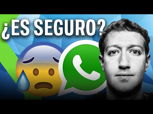 ¿Qué pasa ahora con WHATSAPP? - Así es su nueva política de PRIVACIDAD