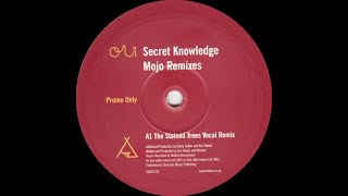 Secret Knowledge - Mojo (The Stained Trees Vocal Remix) [904TP12P]