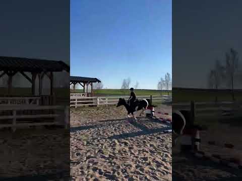 Znowu Nugacik hah😈💖 Pędził bo przy zagalopowaniu bryknął ale wysiedziałam i jechałam dalej (stare)