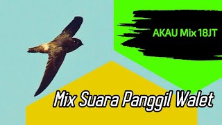 Download lagu Suara Panggil Palet Jernih Akau Mix 18 Jt mp3