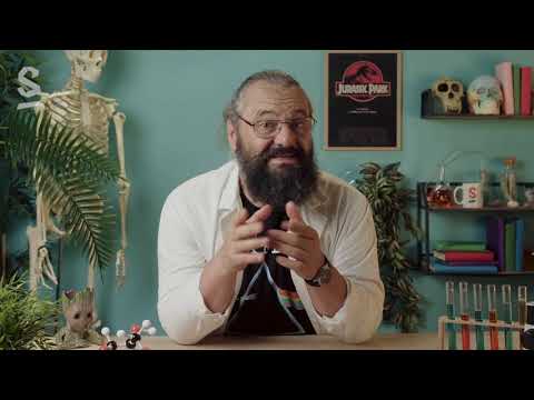 Les êtres vivants pluricellulaires et spécialisation des cellules - SVT - 2de - SchoolMouv