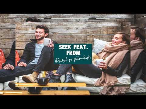 Seek feat. FRDM - Raiul pe pamant
