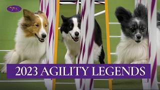 Top Runs from the 2023 Masters Agility Championship | Westminster Dog Show gameplay video by alucas, 11:21 duration