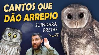 Miniatura do vídeo