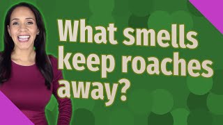 What smells keep roaches away?