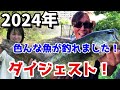 2024年釣れた魚たち！ダイジェスト！