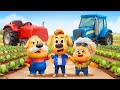 Let S Go To The Farm Kid Learns To Harvest Fun Story Kids Cartoon Sheriff Labrador