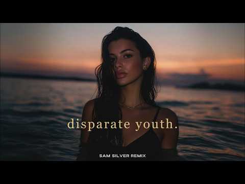 Santigold - Disparate Youth (Sam SIlver Remix) [House]