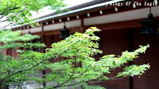 Wings Of The Eagle - Uttara-Kuru