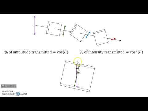 Multiple Filters and Malus's Law