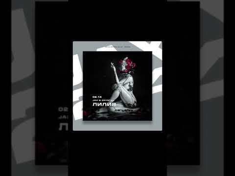 jax crystal - лилия 2022