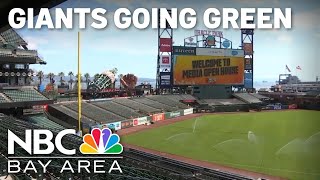 SF Giants continue steadfast sustainability campaign