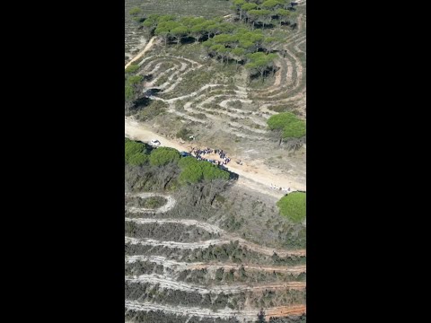 REFORESTA; Bosques frente al Cambio Climático
