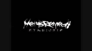 Metus Remedy - Dysphoria