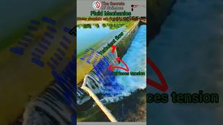 Fluid Mechanics #surface #tension #physics #turbulentflow #the #secrets #of #science #youtubeshorts