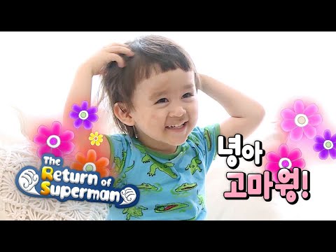 The Beauty Director Bentley starts working [The Return of Superman Ep 341]