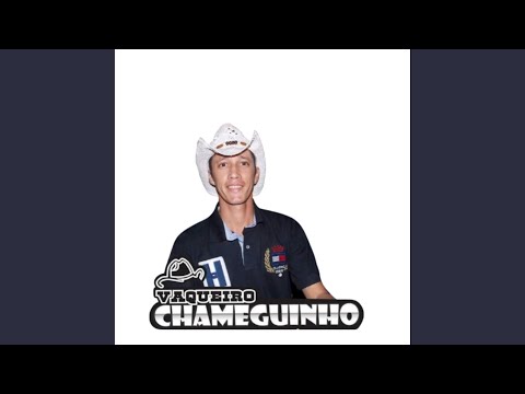 Lamento de um Cavalo