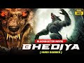 Bhediya Full Movie Hollywood Movie Hindi Dubbed Animal Movie Savage360p