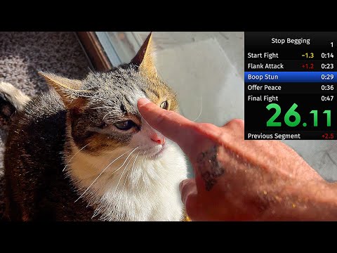 Annoying My Cat Until He Stops Begging At The Door Speedrun (WR)