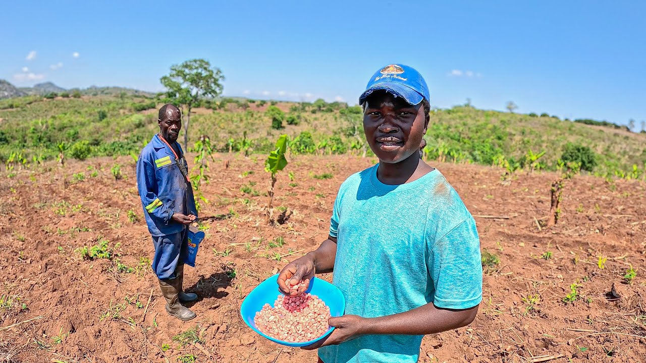 Depois de Tanto Desespero, a Chuva Chegou e Vamos Plantar na Roça!