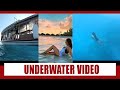 Sonakshi Sinha Looks Hot In A Swimsuit In This Underwater Video
