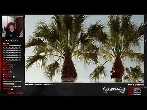 MULTI reakcja na Friz & Mr. Polska - Awaryjne światła. *szczera opinia*