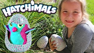 Hatchimals Eggs Found In The Wild! Our Hatchimals Eggs Finally Hatch Open! See What We Got!