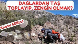Kilosu $50.000! Muğla Dağlarında Taş Toplayıp Zengin Olmak