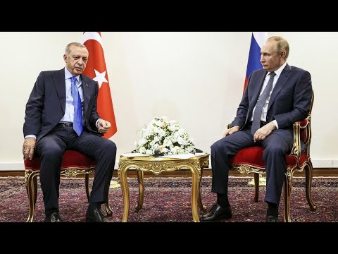 أردوغان يعرض وساطة تركيا على بوتين بشأن محطة زابوريجيا النووية في أوكرانيا • فرانس 24 FRANCE 24