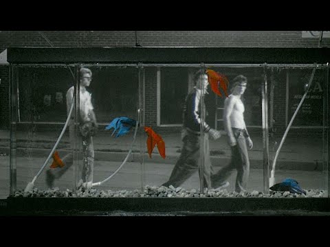 RUMBLE FISH (1983) - A story where dreams swim amidst shadows.