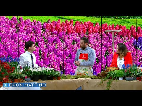 Di Buon Mattino (Tv2000) - Puntata del 21 marzo 2023