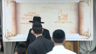 ביאורים על פרשת השבוע - פרשת אחרי-קדושים תשפ"ו