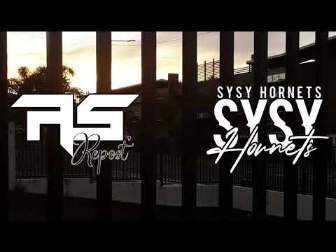 ISABELLA x BLINDING LIGHTS - (SYSY HORNETS REMIX) 2021 ツ