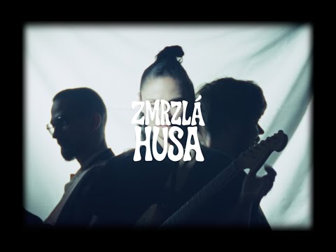 Lenka Dusilová - Zmrzlá husa (Lenka’s 2025 version)