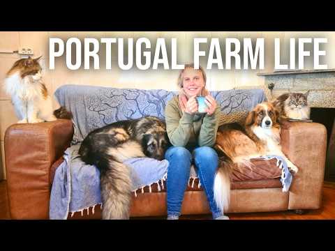 We Said Goodbye… Portugal Farm Life Returns | ANTHBOT M9