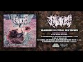 NATURECTOMY SLAMMING NATURAL BEATDOWN OFFICIAL EP STREAM 2023 SW EXCLUSIVE