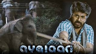 Sivakarthikeyan की हिम्मत से हाथी के बच्चे को नई जिंदगी मिल गयी | Watch Ayalaan On Goldmines Play