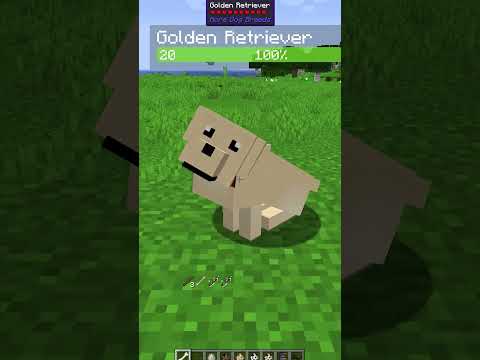 Haydar - how to have a smart dog in minecraft