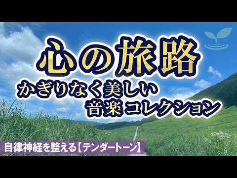 A Journey of the Heart  |  A Boundlessly Beautiful Music Collection   [TENDER TONE]