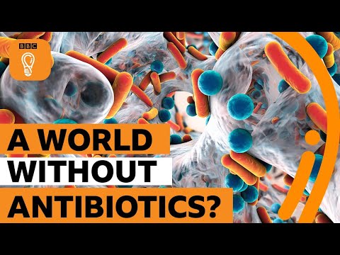 如果沒有抗生素，世界會變成什麼樣子？| BBC創意 (What would the world be like without antibiotics? | BBC Ideas)