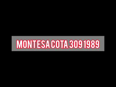 Montesa cota 309 1989