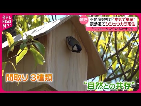 シジュウカラの巣箱に何を入れるか