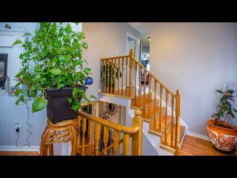 15 White Tail Cres. Brampton